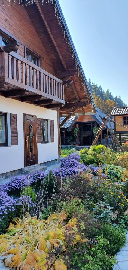 Cottage house Worochta Zewnętrze zdjęcie