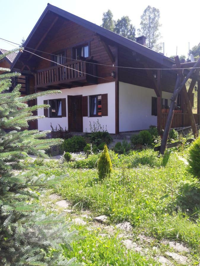 Cottage house Worochta Zewnętrze zdjęcie